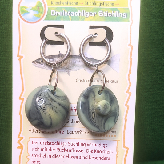 Vintage Knopfohrringe: Dreistachliger Stichling
